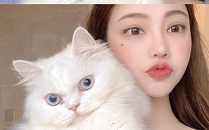 貓咪表情超有戲！「黃琳」與萌寵互動滿分