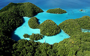 搶救旅遊泡泡大作戰！華航再增2家旅行社銷售帛琉行程