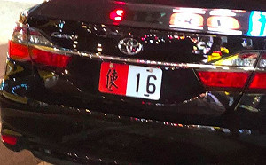 路上見車牌使-16驚呆！內行揭真相