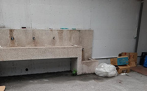 76行者無償修復遺體卻遭攻擊 王薇君淚斥「斂財」指控：盼酸民有同理心