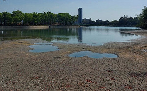 高雄水情拉警報！  網民驚呼澄清湖出現「小沙洲」  土地龜裂現乾涸景象