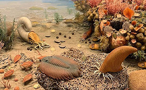 哇！古生物最新解密：4.5億年前三葉蟲用腿呼吸