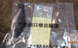 日本拍板福島核廢水排入海！農委會：不排除加強水產品檢測