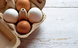 雞蛋紅殼vs白殼哪個好？農委會解答