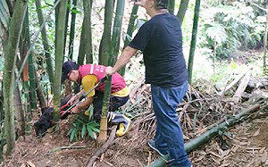 三芝山區查獲違法使用山豬吊  新北動保處即時拆除開罰1.5萬元