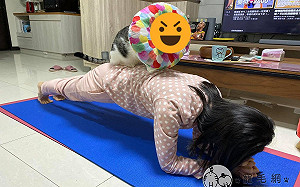 練習棒式貓咪竟「站背上加持」　媽超抖：牠覺得我訓練不夠！