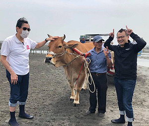 重返芳苑濕地  羅智強：盼蔡英文有馬英九一樣的智慧停建三接