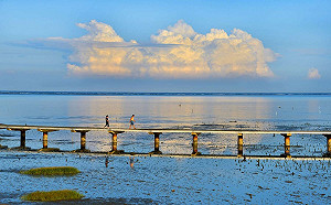 新竹17公里海岸自行車道升級完工！5大夢幻景點大公開