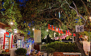 小鎮百年風華！台中霧峰5大必訪景點一次看