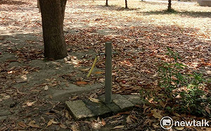 節水DIY全民動起來!台南市大型公園公廁以外區域暫停供水
