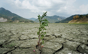 梅雨變沒雨?高壓異常鋒面下不來 彭啟明:雨量可能偏少