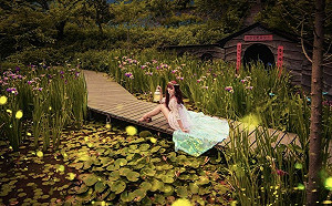 螢火蟲哪裡有？兩大網美分享童話仙境