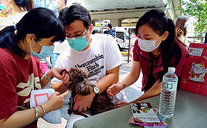 新北動保處「汐止毛孩幸福趴」登場    官民合作熱鬧非常