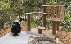 (影)貼心老爸打造豪華「戶外貓籠」　網友羨慕直呼：不想當人了！