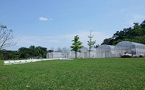 好康看過來！宜蘭綠色博覽會5/1勞工朋友免費入園