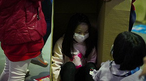 新北動保處每年逾百場校園生命教育 淡水育英國小體驗毛孩生活空間