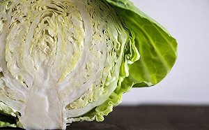 高麗菜一刀切開隔天發黑！保存「秘訣」曝光：以前都不知