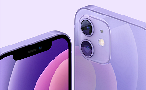 紫色iPhone 12讓女性「愛瘋」！預約量成長1.5倍
