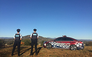 超冷血! 目睹4警察被撞命危 男子幸災樂禍拍照還嘲諷 法院判關10個月