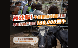 半個月完成16萬牛隻疫苗注射 總統讚牛結節疹防疫高效率