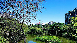 水情拉警報 新北塭仔底溼地公園戲水區延後開放