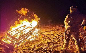 金門海漂豬檢出非洲豬瘟!農委會:暫停金門豬肉產品輸出一週