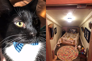 (影)無用空間改裝變成「超萌貓咪睡房」 網驚:竟然還有電視!