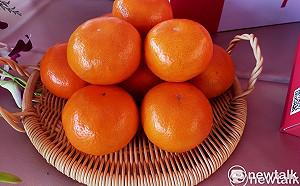 不受禁銷鳳梨影響 台中茂谷柑銷中國成績亮眼 今年破500公噸