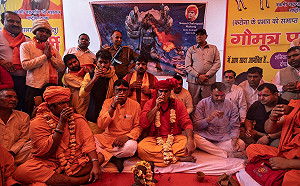 印度議員竟稱「牛尿」可抗疫 不僅帶頭試喝 牛尿派對、強灌樣樣來