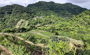 都市森林一日遊!台北大縱走首場步道導覽5/29登場