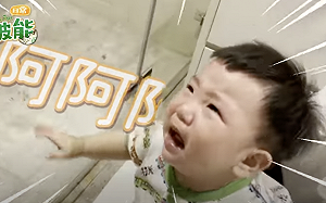 被攔著找蔡桃貴竟嚎啕大哭!網笑翻:波波很黏哥哥