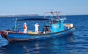 10天扣4艘!休漁期陸船狂越界 澎湖海域數量暴增