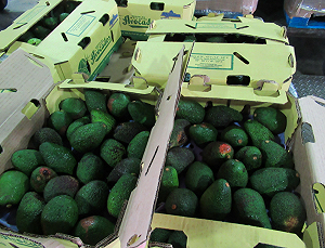 邊境檢驗不合格名單公布 驚見好市多酪梨、華陀扶元堂紅棗上榜!