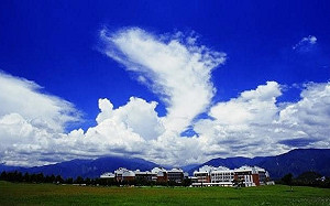 疫情升溫!暨南大學下周一起改線上遠距教學 校園暫停開放