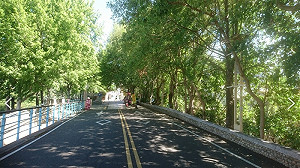 中市熱門景區遊客僅剩三成  觀旅局加強防疫宣導 啟動人流管制