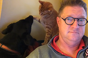 (影)看新聞卻分心？爸無奈自拍　網見亮點笑：這兩隻好煩！