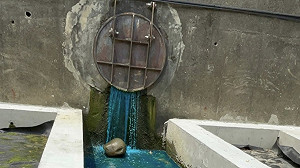 環保水利聯手 新北查獲國防部某營區施工排泥水