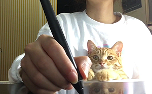 (影)橘貓伸出「小毛手」干擾　她繪圖被中斷嘆：心好累！