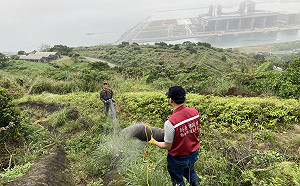 522國際生物多樣性日   數字顯示新北守護野生動物有成