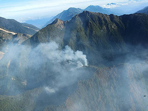 NCC高官玉山野炊燒｢3座大安森林公園｣ 陳吉仲：刑、民事追究到底