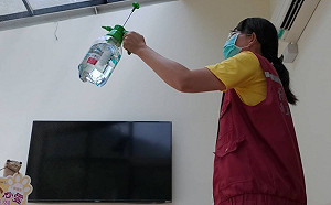 人貓同防疫 網美景點「猴硐貓公所籌備處」遠距賞貓上線