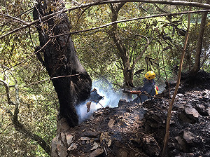 馬崙山大火獲控制 總延燒面積5.4公頃