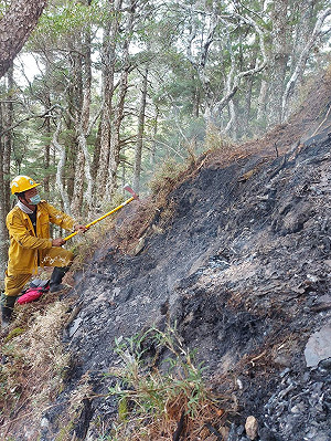 (影)玉山森林大火撲滅！燒10天71公頃 910人次、83架次直升機救災