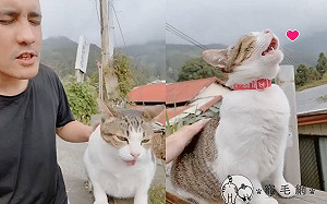 (影)路遇「阿里山之花」仰頭和音　網笑：開關在背上！