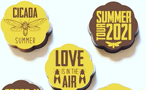 生活就像一盒蟬？解決蟲蟲危機 美糖果店出售「巧克力蟬」 還供不應求