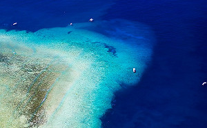 帛琉「零確診」破功！ 傳1曾接種疫苗旅客PCR陽性