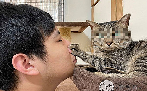 爸在家上課狂「吸」貓　牠眼神空洞伸掌抵抗：保持社交距離