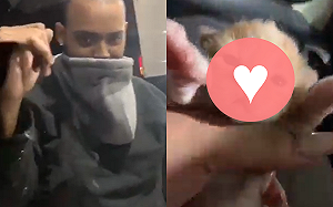 (影)兄弟「神色慌張」遞好料　網看實品爆笑：不良吸貓組織！