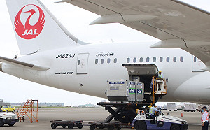 124萬劑疫苗送到 日本網友留言「疫苗的錢 日本10年前就收到了！」