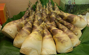 e起吃好筍   新北綠竹筍清涼上市